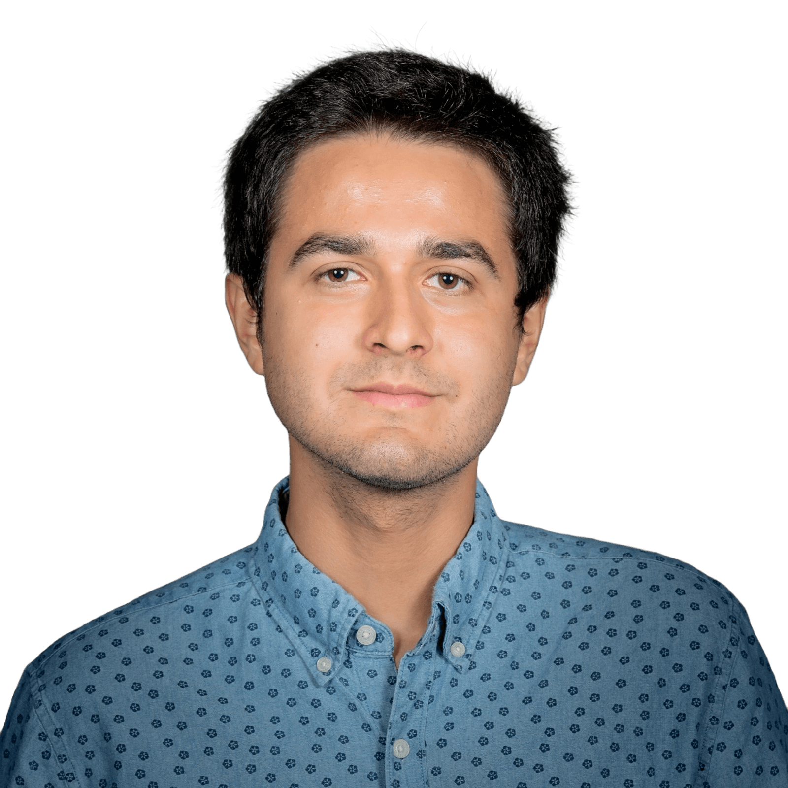 Bernardo's Picture